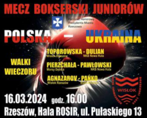 mecz bokserski juniorów rzeszów